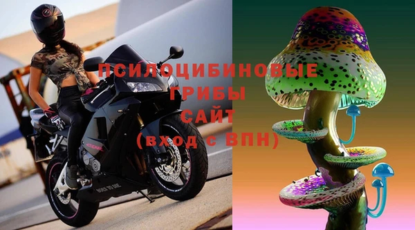 дурь Карпинск