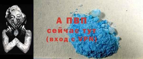 дурь Карпинск