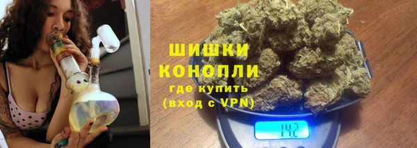 дурь Карпинск