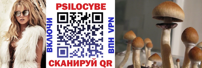 Купить закладки  Высоцк  Галлюциногенные грибы Cubensis 